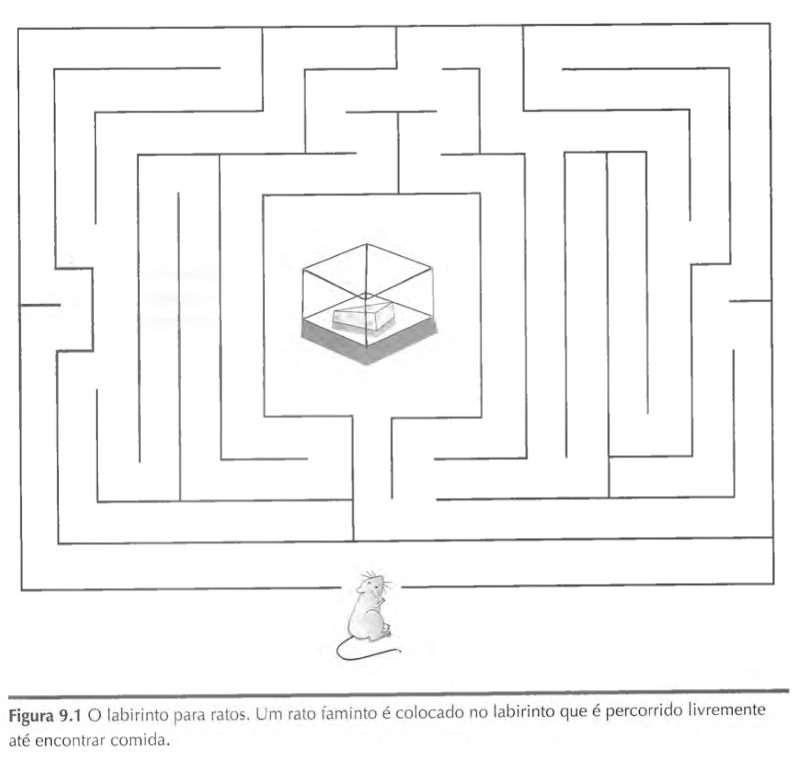Jogo de lógica infantil atravessa o labirinto ajude o bebê dinossauro a  passar pelo labirinto vetor