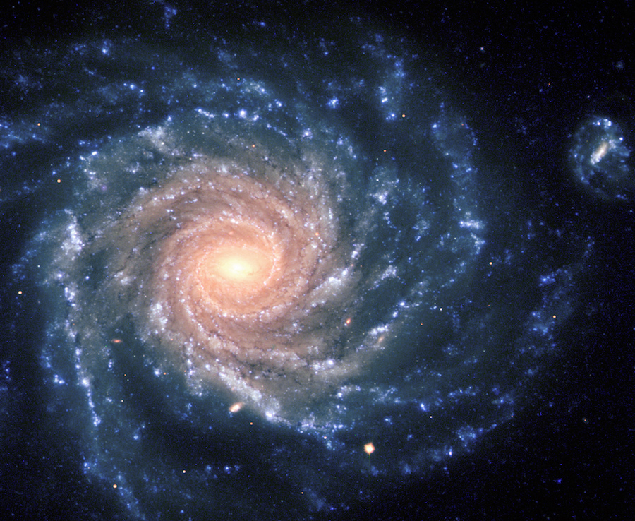 Galaxia NGC 1232